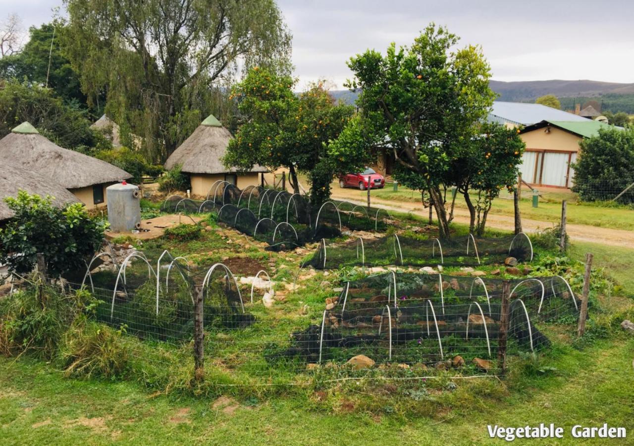 Ardmore Guest Farm Champagne Valley 外观 照片